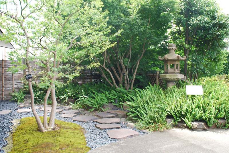 黙阿弥の石燈籠と蹲踞(つくばい)